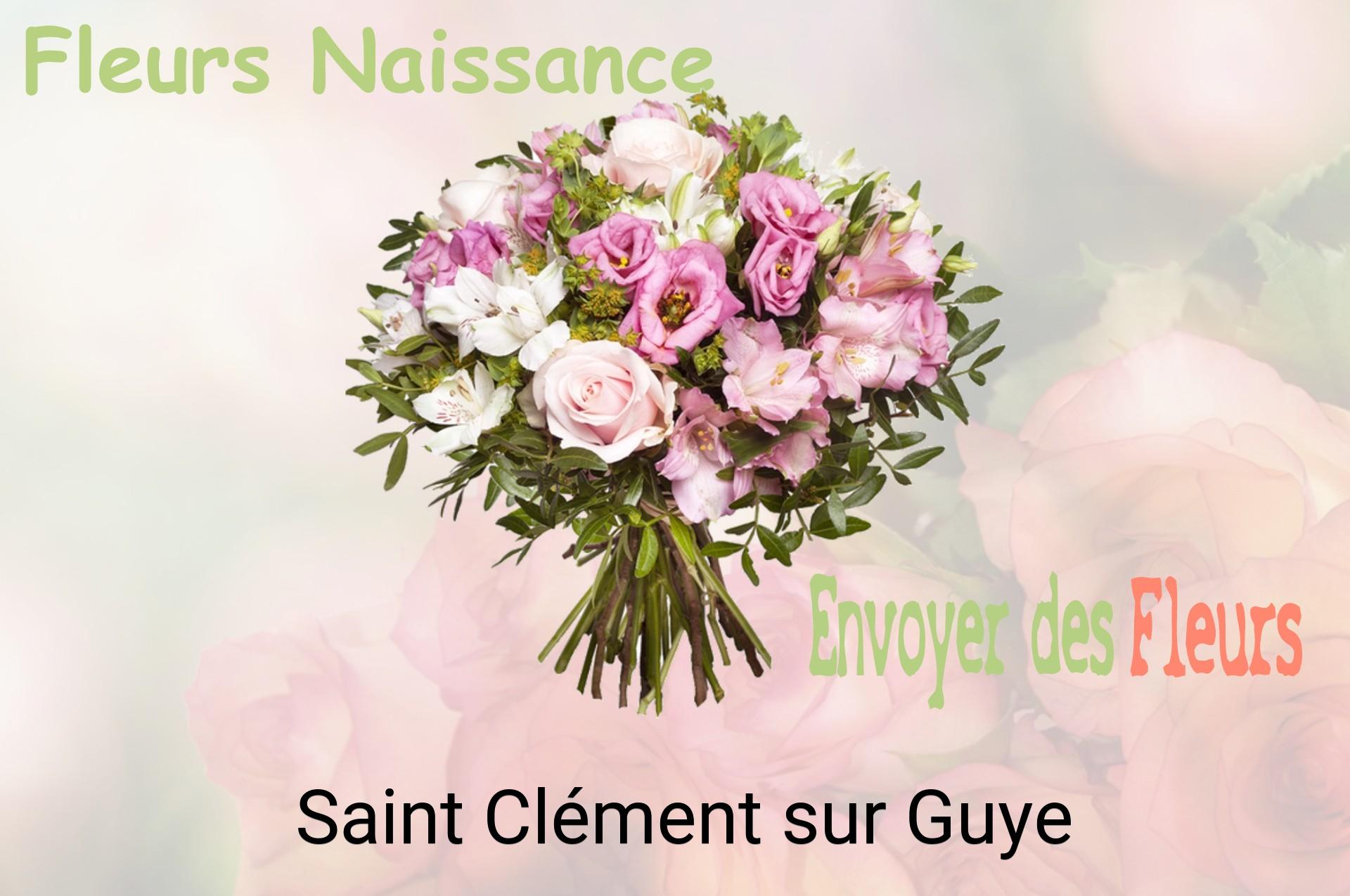 Bouquet de fleurs de naissance livré à Saint-Clément-sur-Guye